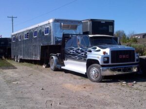The Horse limo and horse transport company started by Michele in 2009