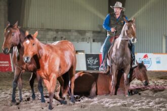 Learn About Your Horse at Can-AM Equine Expo