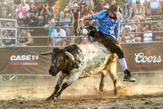 Coors Pro Xtreme Bull Freestyle